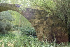 Pons_SPR_2005_12_Ramos2005