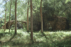 Pons_SPR_2005_42_Ramos2005