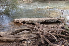 Pons_SPR_Olmos-Pisu_15_JoseAngel20