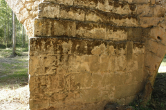 Pons_SPR_postconso_2020_18_Ramos20