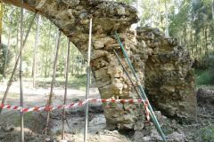 Pons_SPR_postconso_2020_40_Ramos20