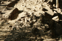 Pons_SPR_postconso_2020_44_Ramos20