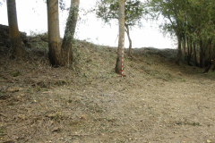 SPR_Manguarda_2021