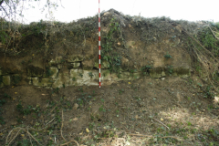 SPR_Manguarda_2021
