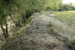 SPR_Manguarda_2021